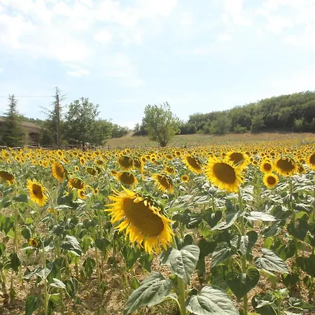 Domaine De La Couderquié