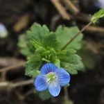 Domaine De La Couderquie 3*