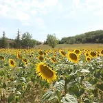 Domaine De La Couderquie