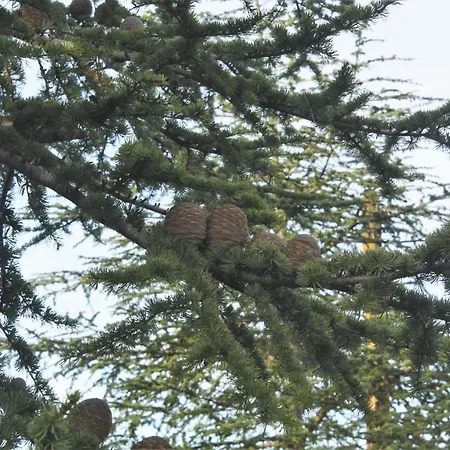 Domaine De La Couderquie Frühstückspension