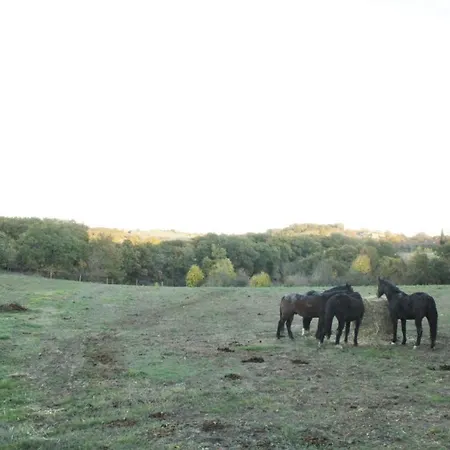 Oda ve Kahvaltı Domaine De La Couderquie Lautrec