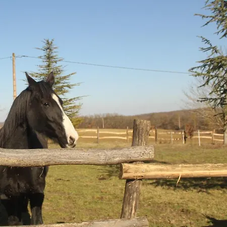 Bed & Breakfast Domaine De La Couderquie *