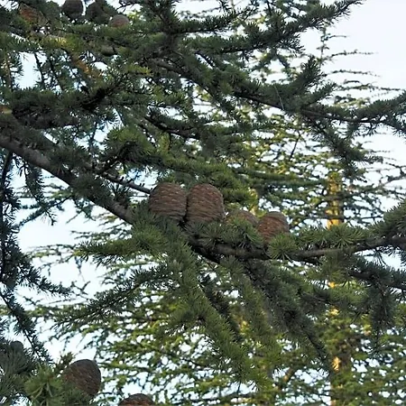 Domaine De La Couderquie 3*