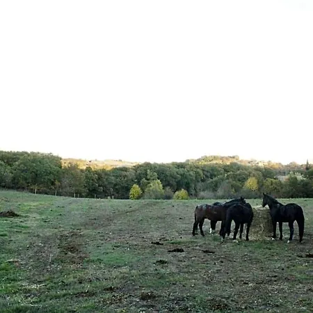 Domaine De La Couderquie Lautrec