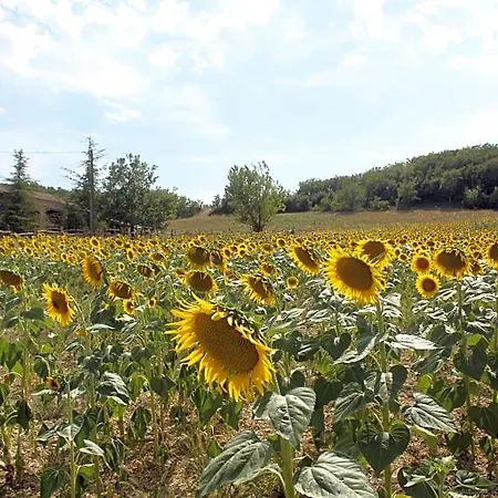 Domaine De La Couderquie 3*