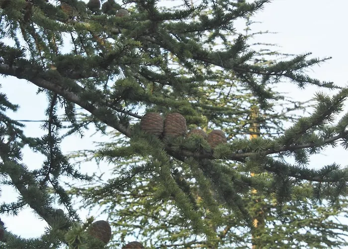 Domaine De La Couderquie Bed & Breakfast