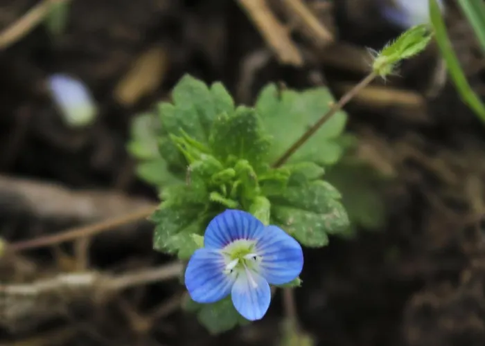 Domaine De La Couderquie 3*