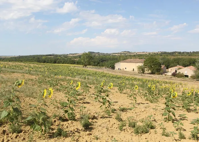 Bed & Breakfast Domaine De La Couderquie Lautrec