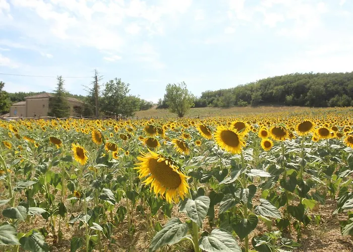Domaine De La Couderquie